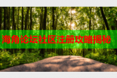 海角论坛社区注册攻略揭秘