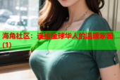 海角社区：连接全球华人的温暖家园(1)