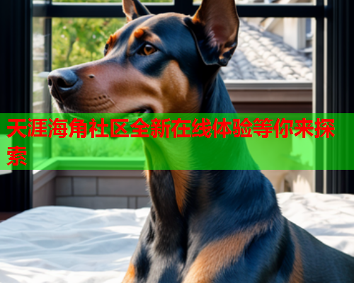 天涯海角社区全新在线体验等你来探索  第1张